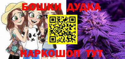PSILOCYBIN Заводоуковск