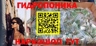 PSILOCYBIN Заводоуковск