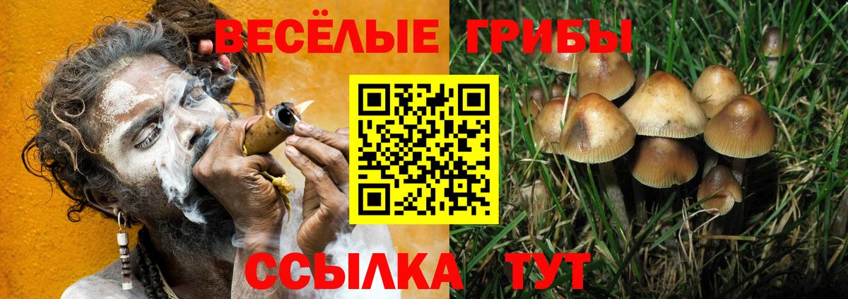 Кыштым  Галлюциногенные грибы Cubensis  Вход с VPN 